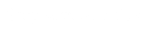 nambiz-patrick.ch